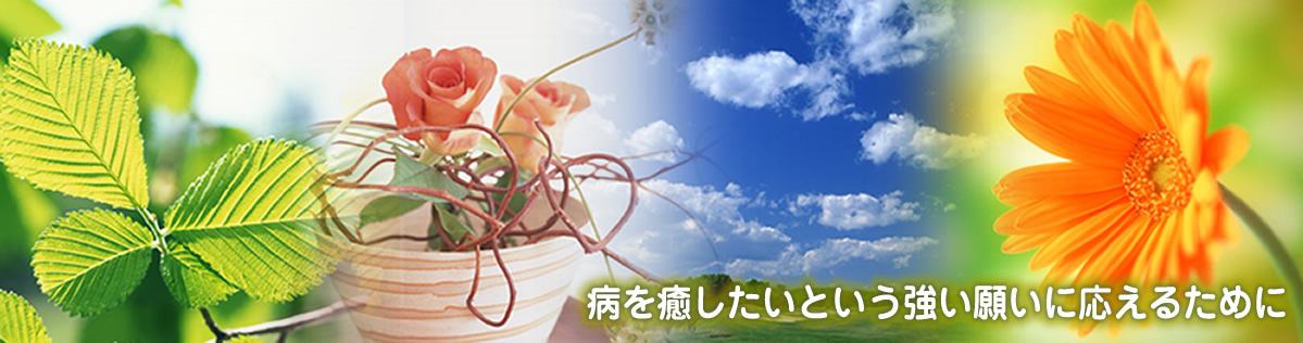 一般財団法人 全国療術研究財団・一般社団法人 全国療術師協会　病を治したいという強い願いに応えるために